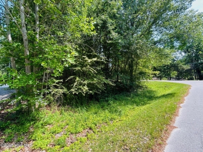 Land For Sale In Hertford, North Carolina - image 3