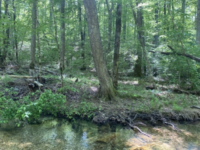 Land For Sale In Tn, 30 Acres+/-, Creek, Open & Wooded Land - image 28