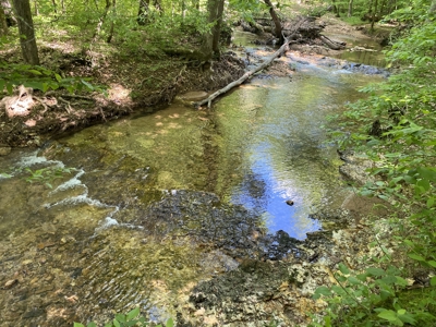 Land For Sale In Tn, 30 Acres+/-, Creek, Open & Wooded Land - image 5