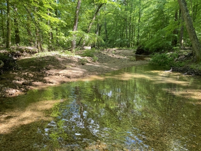 Land For Sale In Tn, 30 Acres+/-, Creek, Open & Wooded Land - image 25