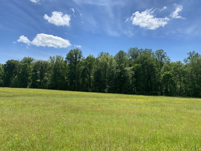 Land For Sale In Tn, 30 Acres+/-, Creek, Open & Wooded Land - image 19