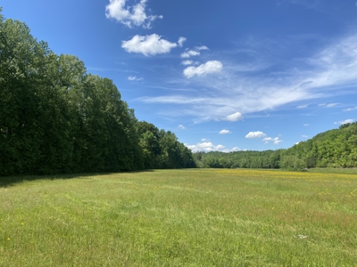 Land For Sale In Tn, 30 Acres+/-, Creek, Open & Wooded Land - image 14