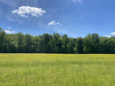Land For Sale In Tn, 30 Acres+/-, Creek, Open & Wooded Land - image 16