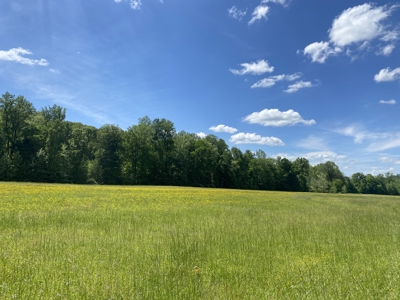 Land For Sale In Tn, 30 Acres+/-, Creek, Open & Wooded Land - image 2