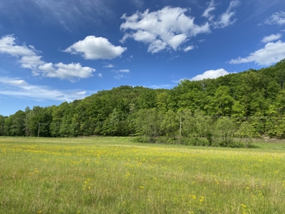 Land For Sale In Tn, 30 Acres+/-, Creek, Open & Wooded Land - image 9