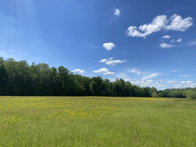Land For Sale In Tn, 30 Acres+/-, Creek, Open & Wooded Land - image 15