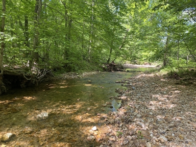 Land For Sale In Tn, 30 Acres+/-, Creek, Open & Wooded Land - image 36