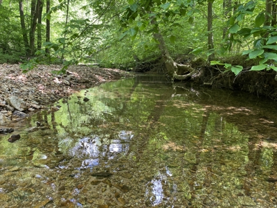 Land For Sale In Tn, 30 Acres+/-, Creek, Open & Wooded Land - image 35