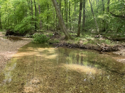 Land For Sale In Tn, 30 Acres+/-, Creek, Open & Wooded Land - image 38