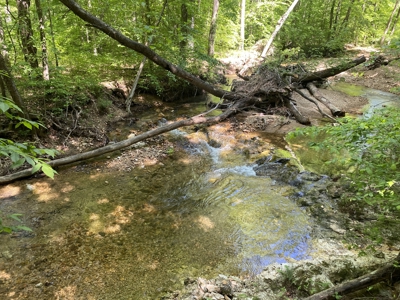 Land For Sale In Tn, 30 Acres+/-, Creek, Open & Wooded Land - image 24
