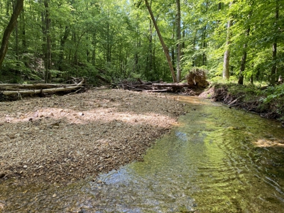 Land For Sale In Tn, 30 Acres+/-, Creek, Open & Wooded Land - image 37