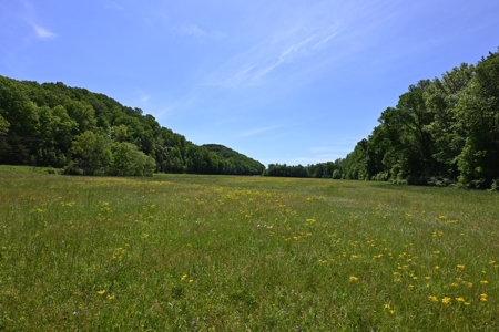 Land For Sale In Tn, 30 Acres+/-, Creek, Open & Wooded Land - image 42