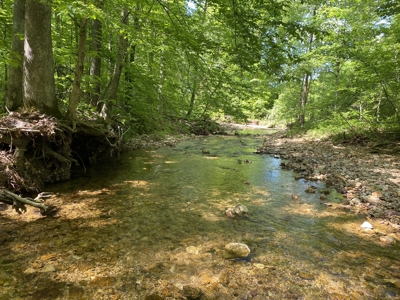 Land For Sale In Tn, 30 Acres+/-, Creek, Open & Wooded Land - image 34