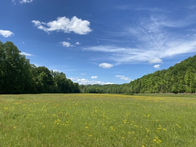 Land For Sale In Tn, 30 Acres+/-, Creek, Open & Wooded Land - image 1
