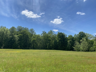 Land For Sale In Tn, 30 Acres+/-, Creek, Open & Wooded Land - image 20