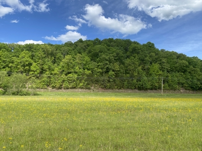 Land For Sale In Tn, 30 Acres+/-, Creek, Open & Wooded Land - image 41