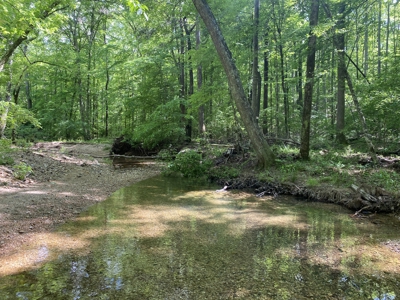 Land For Sale In Tn, 30 Acres+/-, Creek, Open & Wooded Land - image 27