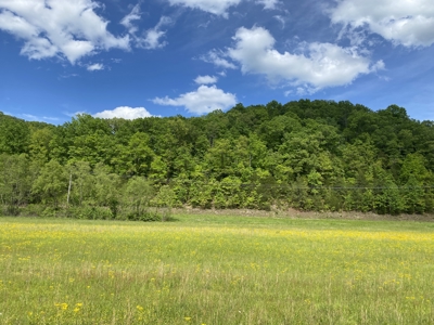 Land For Sale In Tn, 30 Acres+/-, Creek, Open & Wooded Land - image 40