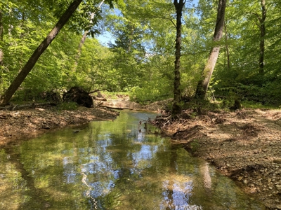 Land For Sale In Tn, 30 Acres+/-, Creek, Open & Wooded Land - image 29