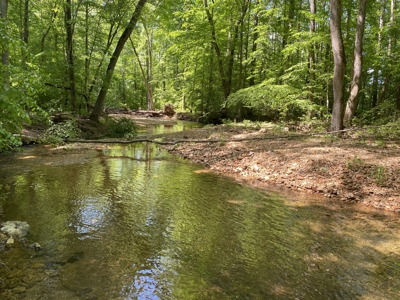Land For Sale In Tn, 30 Acres+/-, Creek, Open & Wooded Land - image 30