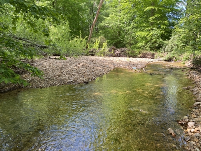 Land For Sale In Tn, 30 Acres+/-, Creek, Open & Wooded Land - image 4