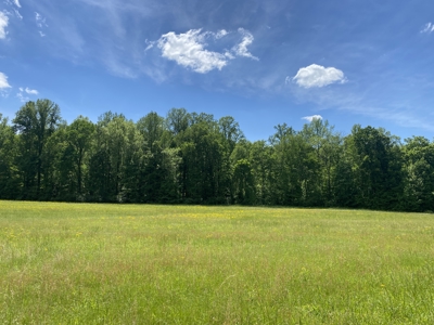 Land For Sale In Tn, 30 Acres+/-, Creek, Open & Wooded Land - image 18