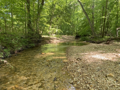 Land For Sale In Tn, 30 Acres+/-, Creek, Open & Wooded Land - image 3