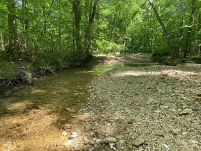 Land For Sale In Tn, 30 Acres+/-, Creek, Open & Wooded Land - image 13