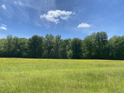 Land For Sale In Tn, 30 Acres+/-, Creek, Open & Wooded Land - image 17