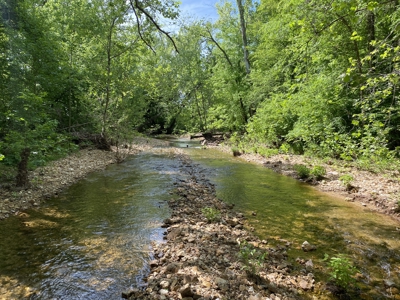 Land For Sale In Tn, 30 Acres+/-, Creek, Open & Wooded Land - image 12