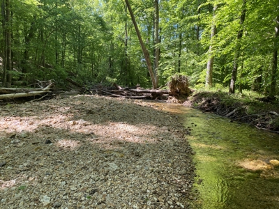 Land For Sale In Tn, 30 Acres+/-, Creek, Open & Wooded Land - image 26