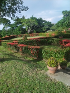 Panama Ocean View Property: Luxury Retreat in Costa Esmeralda - image 34