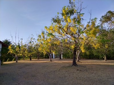 Panama Ocean View Property: Luxury Retreat in Costa Esmeralda - image 31