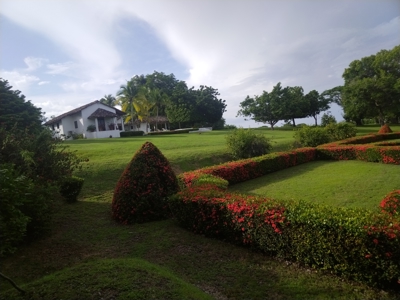 Panama Ocean View Property: Luxury Retreat in Costa Esmeralda - image 37