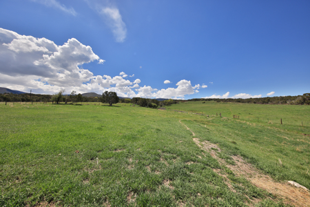 Colorado country Home For Sale with Irrigated Acreage - image 42