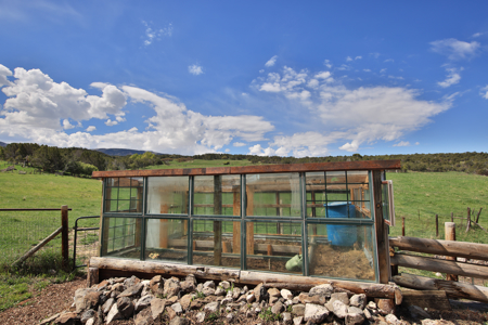 Colorado country Home For Sale with Irrigated Acreage - image 33