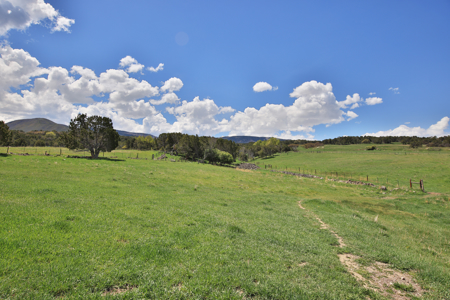 Colorado country Home For Sale with Irrigated Acreage - image 41