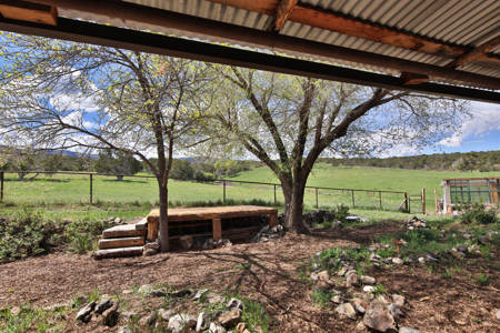 Colorado country Home For Sale with Irrigated Acreage - image 27