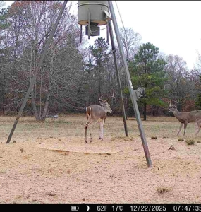 G4 Ranch – 235± Acres of Premier Hunting & Recreational Paradise - image 45