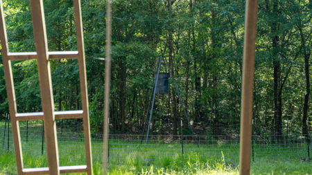 G4 Ranch – 235± Acres of Premier Hunting & Recreational Paradise - image 19