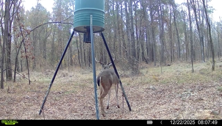 G4 Ranch – 235± Acres of Premier Hunting & Recreational Paradise - image 47