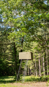G4 Ranch – 235± Acres of Premier Hunting & Recreational Paradise - image 18