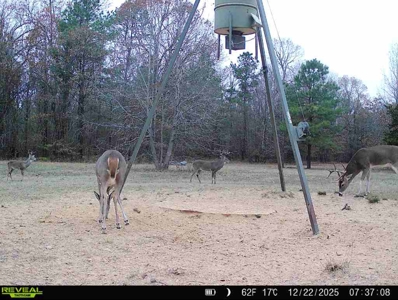 G4 Ranch – 235± Acres of Premier Hunting & Recreational Paradise - image 44