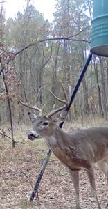 G4 Ranch – 235± Acres of Premier Hunting & Recreational Paradise - image 46
