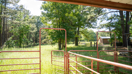 G4 Ranch – 235± Acres of Premier Hunting & Recreational Paradise - image 40