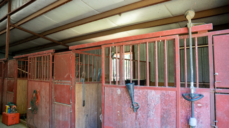 G4 Ranch – 235± Acres of Premier Hunting & Recreational Paradise - image 39