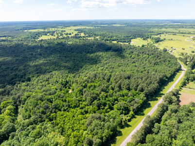 G4 Ranch – 235± Acres of Premier Hunting & Recreational Paradise - image 12