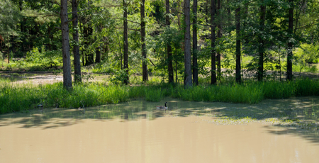 G4 Ranch – 235± Acres of Premier Hunting & Recreational Paradise - image 17