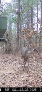 G4 Ranch – 235± Acres of Premier Hunting & Recreational Paradise - image 48