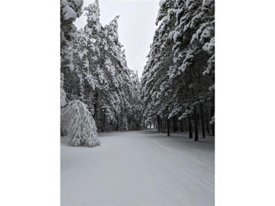 Home on 10 Wooded Acres w/ Creek For Sale in Willow River MN - image 47